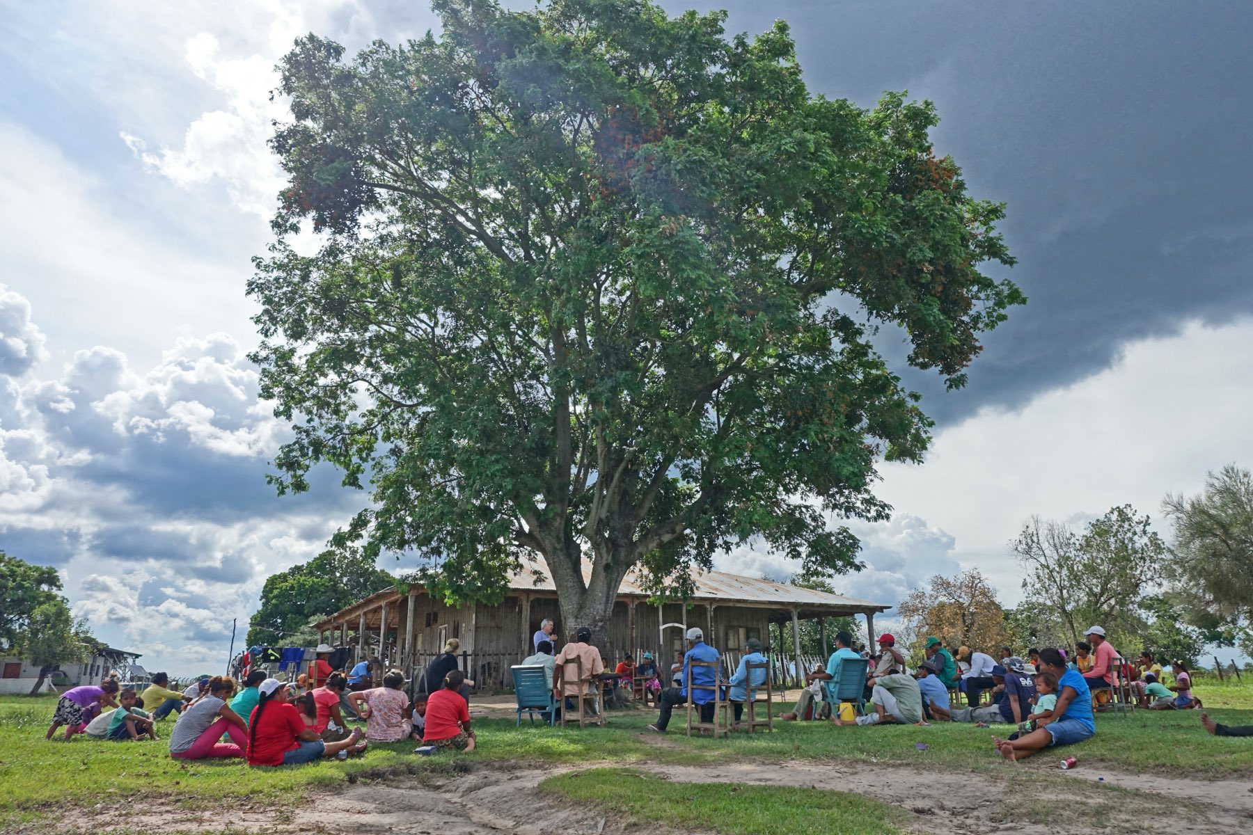 A large community assembly seated in the open beneath a spreading tree, with a low building behind and storm clouds overhead.