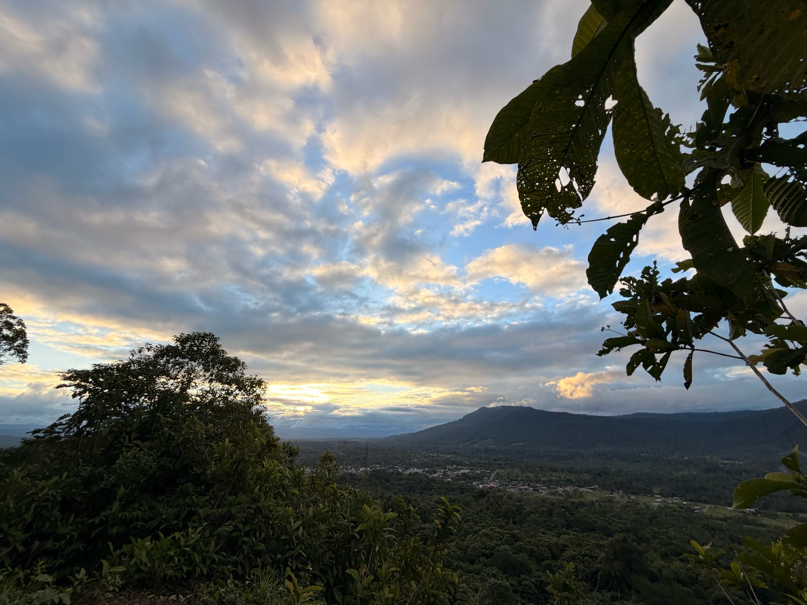 Sunset over a broad forested valley, a small town visible among the trees below a long forested ridge, with the large leaves of a tree in the right foreground.